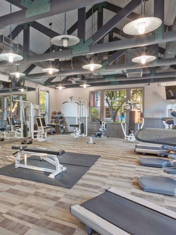 Apartments in Medical Center Houston Stella at the Medical Center